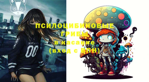 спиды Алзамай